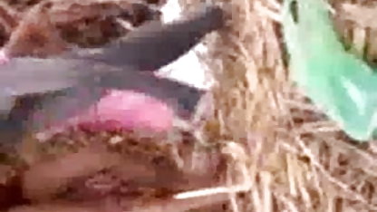 Picoppers माशा जंगल सेक्स फिल्म बफ में लाया और टक्कर लगी है